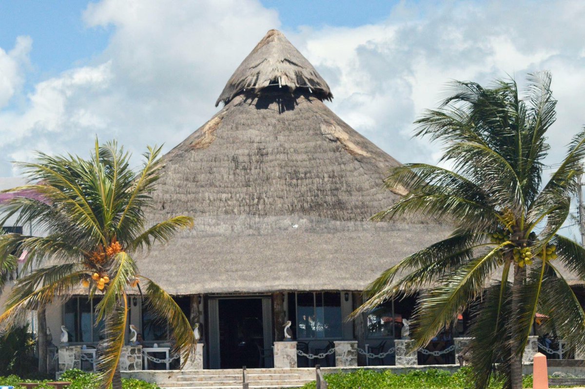 Ubicar al mejor restaurante de  Puerto Morelos es muy fácil, solo sigue el delicioso olor hasta llegar a esta palapa