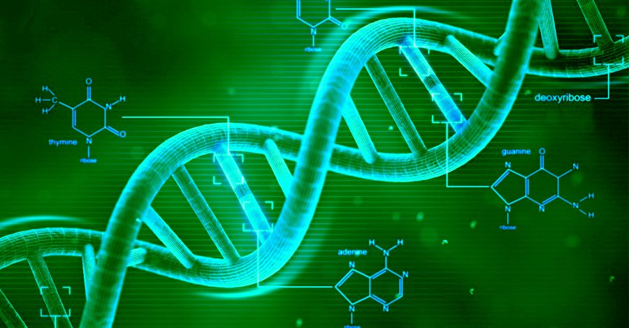 HempsonBioTech's tweet image. hempsonoil.com/state-colleges…