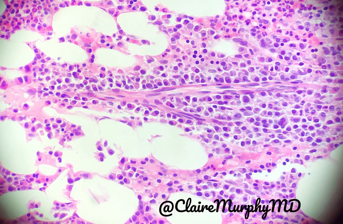 Claire Murphy tweet media