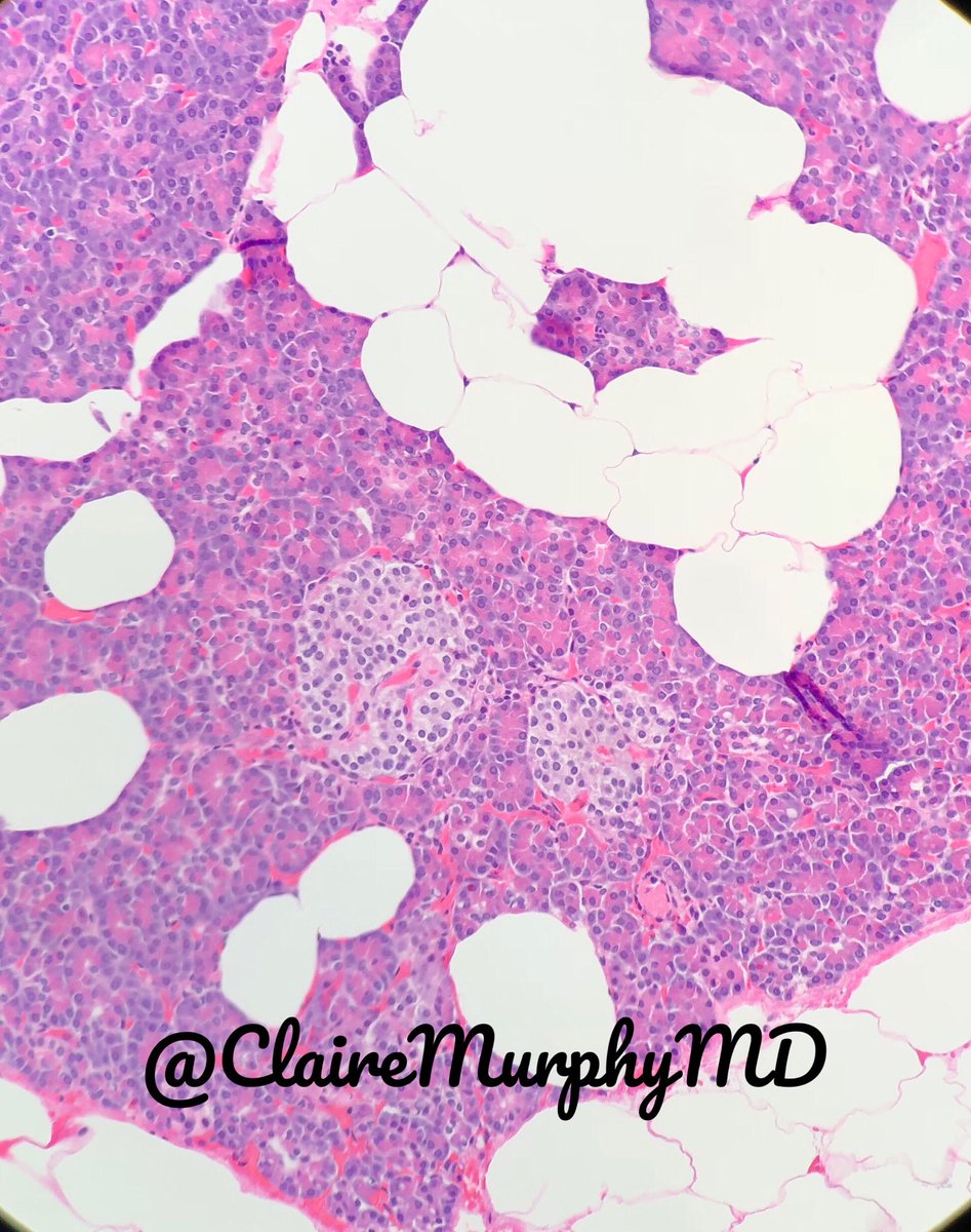 Claire Murphy tweet media