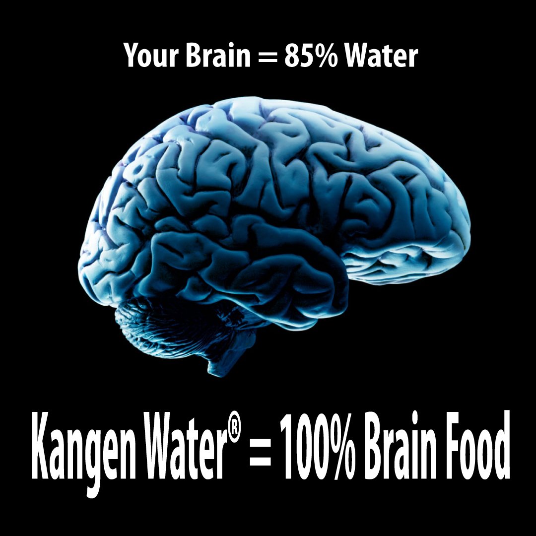 Is your brains. Мозг человека рисунок. Активность мозга. Мозг картинка. Мозг дышит.
