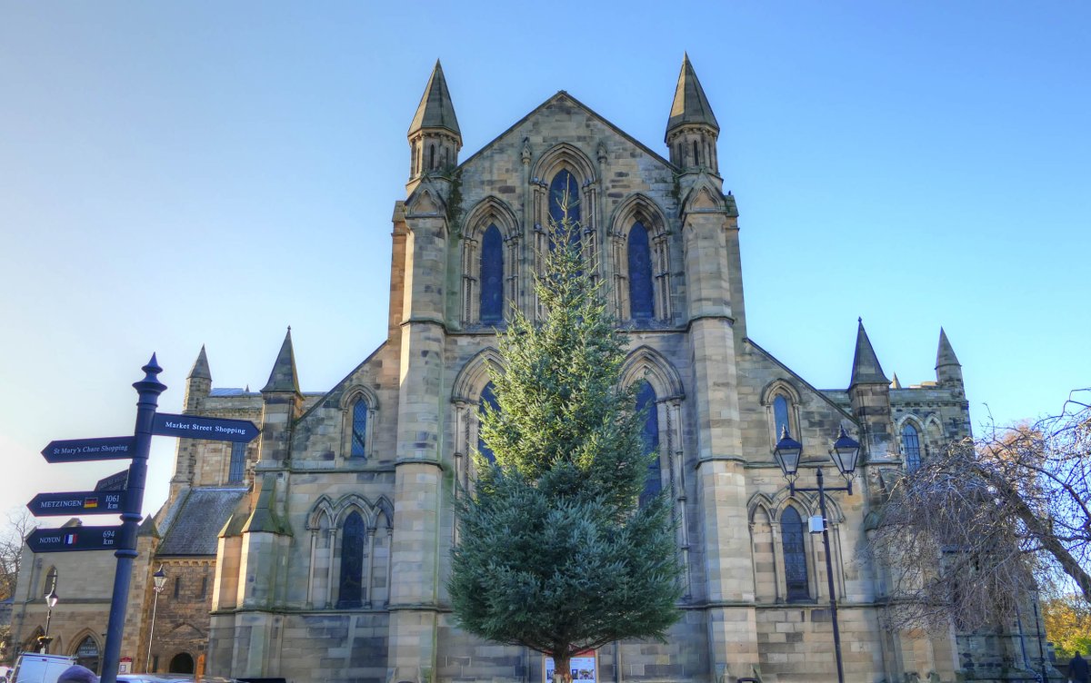 We couldn't help but notice the appearance of this year's giant #Xmas tree in #Hexham marketplace today. And the big Xmas Lights switch-on is only a week away, at 5pm on Friday 24th November! #LoveHexham