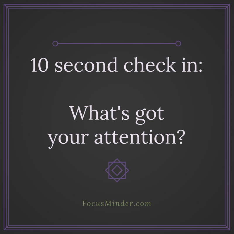 Time for a quick 10-second check-in - what has your attention? #StressRelief