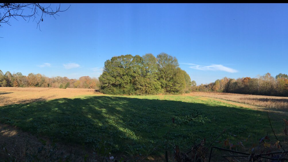 KevinG803's tweet image. If there is any better looking place to deer hunt I️ haven’t seen it yet #tndeerhunting #muzzleloaderseason @N1outdoors @tnwildlife