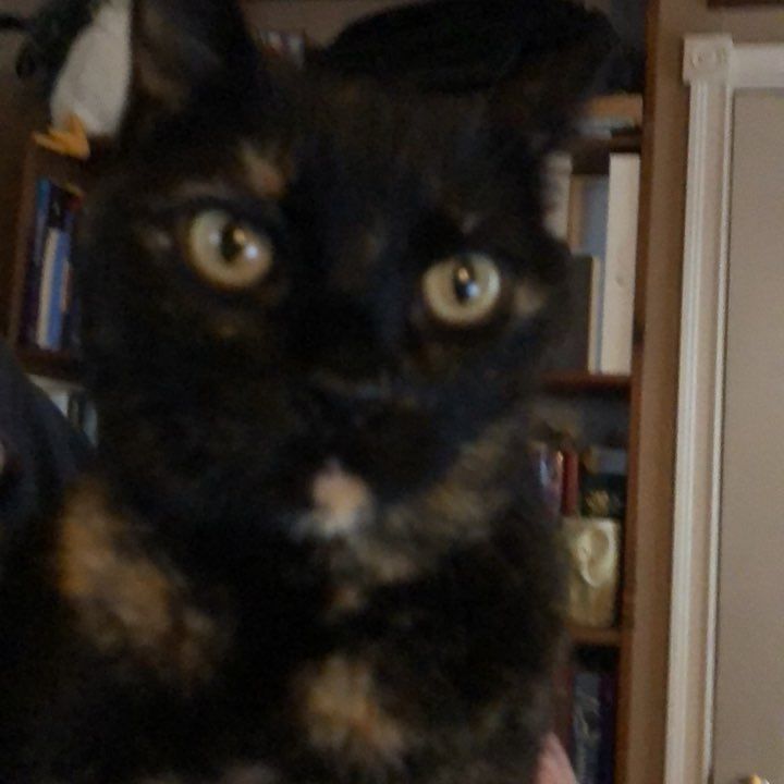 Atthowe Fine Arts (@atthowe) on Twitter photo 