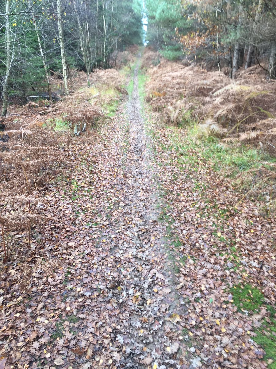 Great fun messing around on this <a href="/KinesisBikes_UK/">Kinesis UK</a> @LaufCycling <a href="/thevelohouse/">The Velo House</a> amazing build with 1xdi2. It's hard but someone needs to do it😁