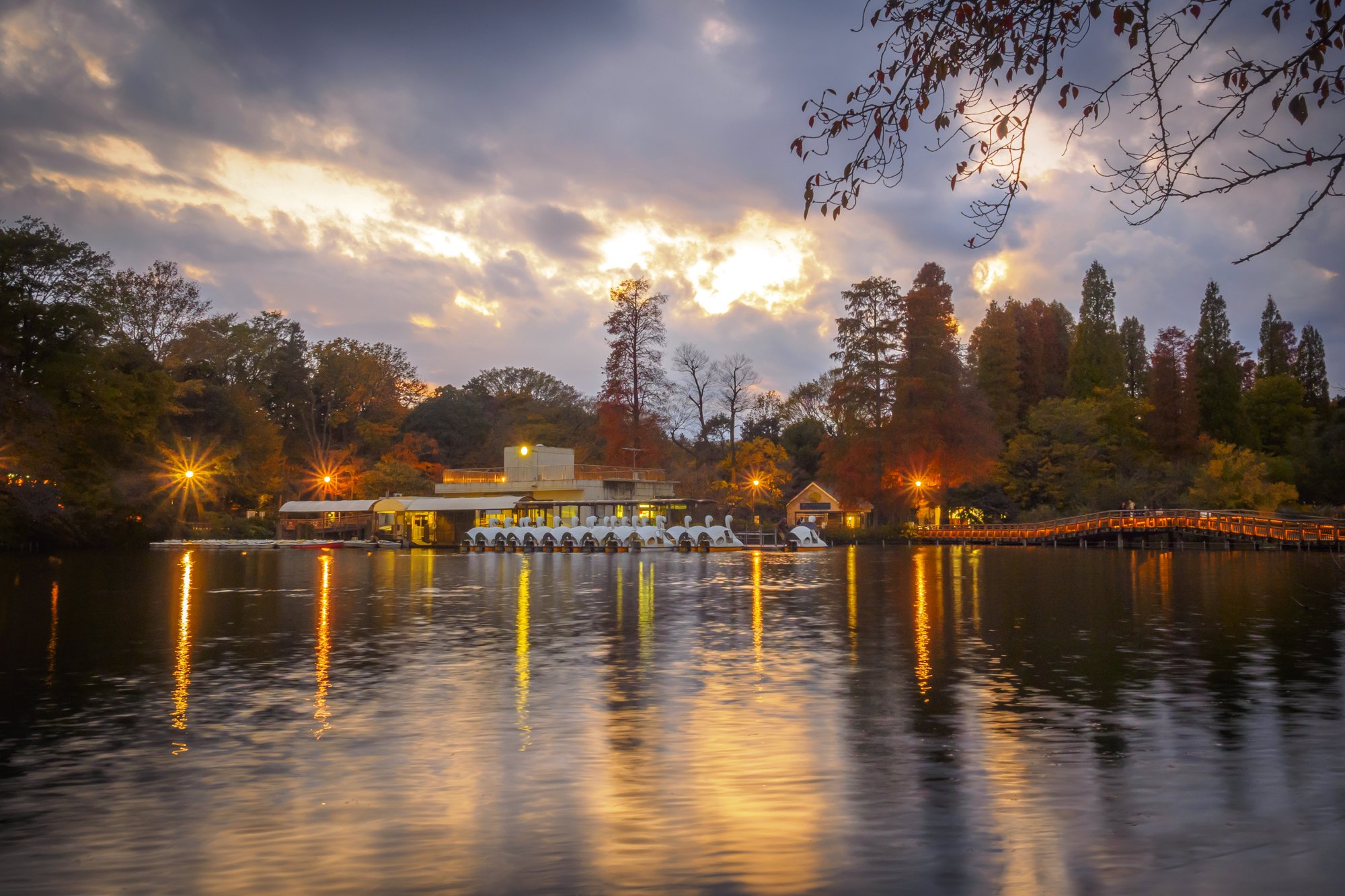 山下コウ太 41 丑年 料理写真撮影研究家 昨日の買い出し帰りの17時の井の頭公園 真っ暗だったけど長秒露光するとロマンチックに 人間の目に見えている光はほんの僅かって事なのかな 週末の冷え込みで紅葉は見頃を迎えるかしら けど寒いのよね はぁ