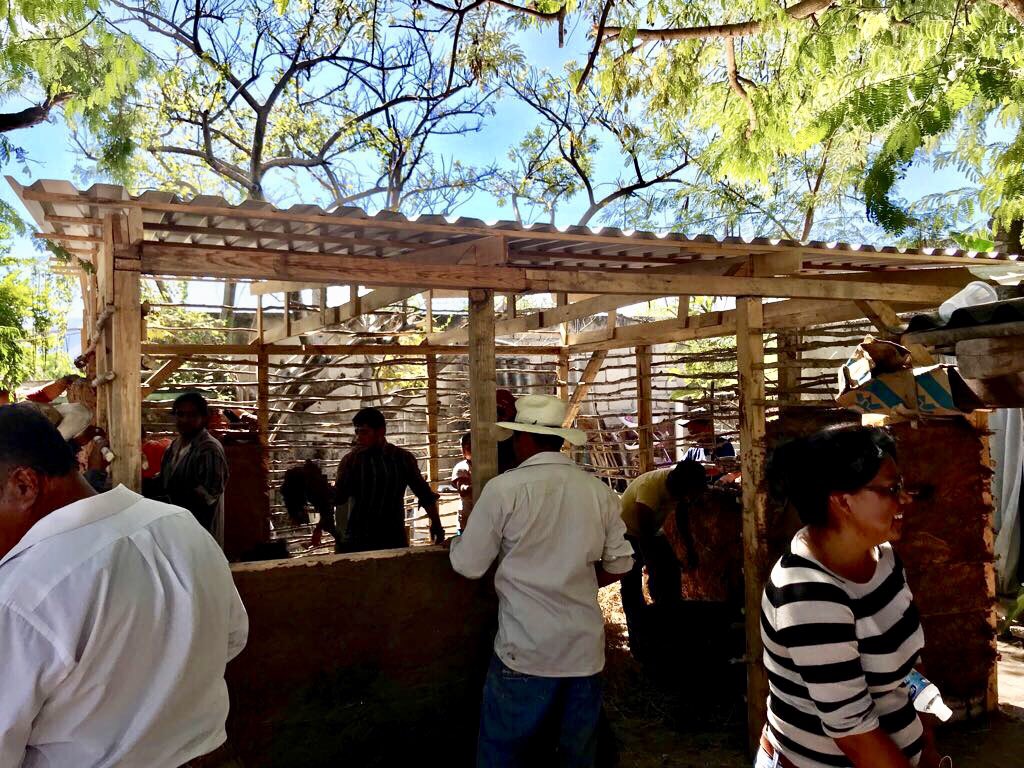 CanEmbMexico's tweet photo. The #Canada Fund #CFLIMX is funding a project in Puebla to provide aid for the victims of the September earthquakes #FuerzaMexico #BioReconstruyePuebla #Omniunity https://t.co/tbwhcqanSo
