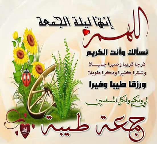 Magdykhafagy1's tweet photo. https://t.co/v3Zu2bf1M8