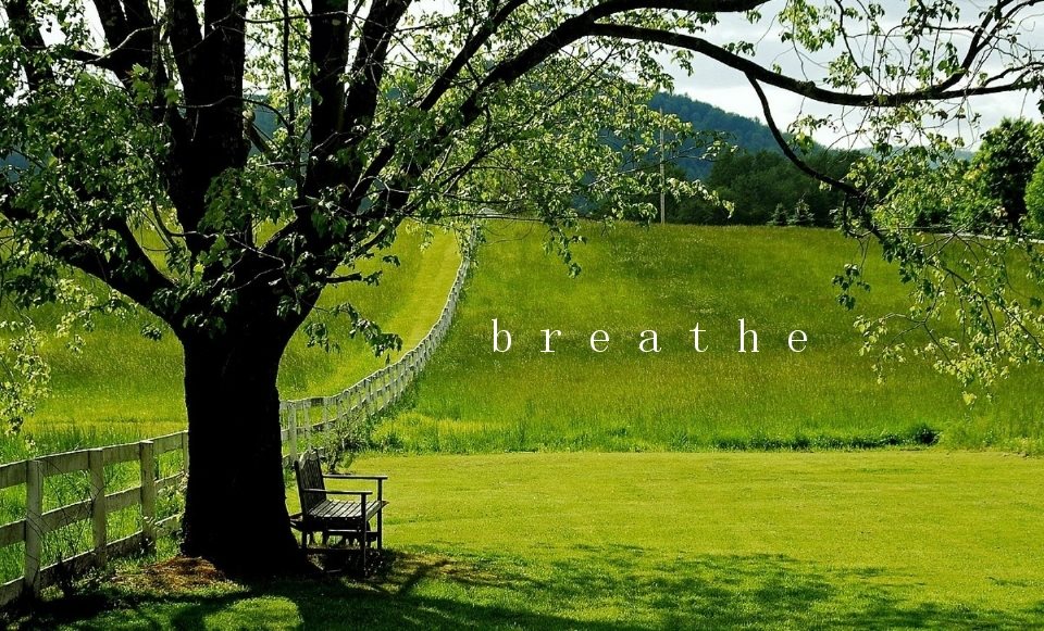 taichitime's tweet photo. #breathe #qi#taichi https://t.co/KYgH4nvJ88