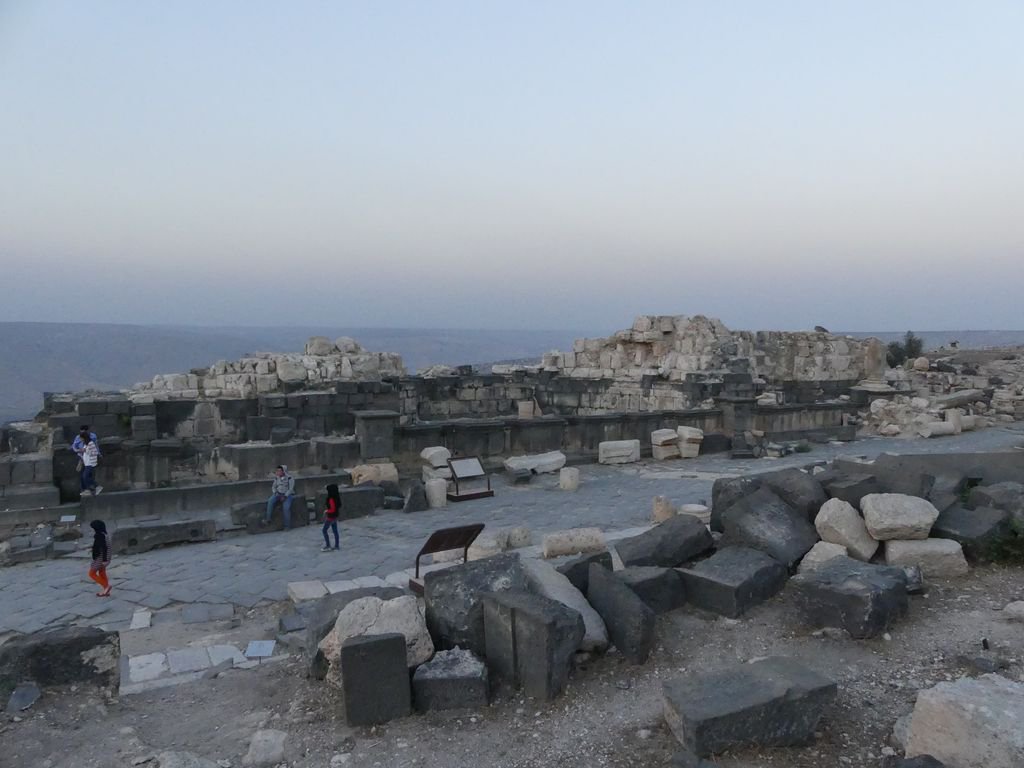 Elizabeth Willoughby tweet media