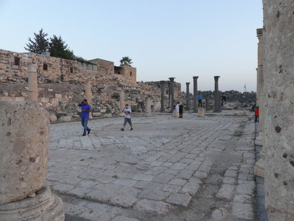 Elizabeth Willoughby tweet media