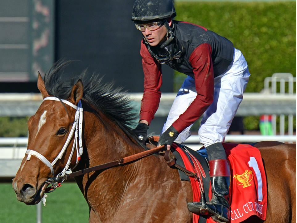 luis_ernestocg's tweet photo. Tough Sunday, caballo californiano hijo de Grazen nacido ciego y sordo, y a punto de ser sacrificado luego de una semana sin signos de mejoría; ganó hoy su 4ª carrera en el hipódromo de Del Mar https://t.co/PYjJJ0wC76