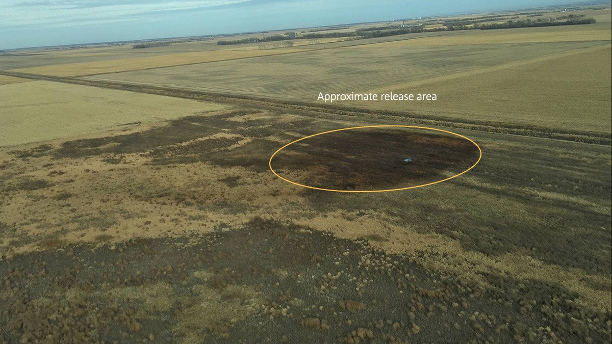 Massive Keystone Pipeline Leak Biggest Since 2010 DOym8ZdVwAAcvmr