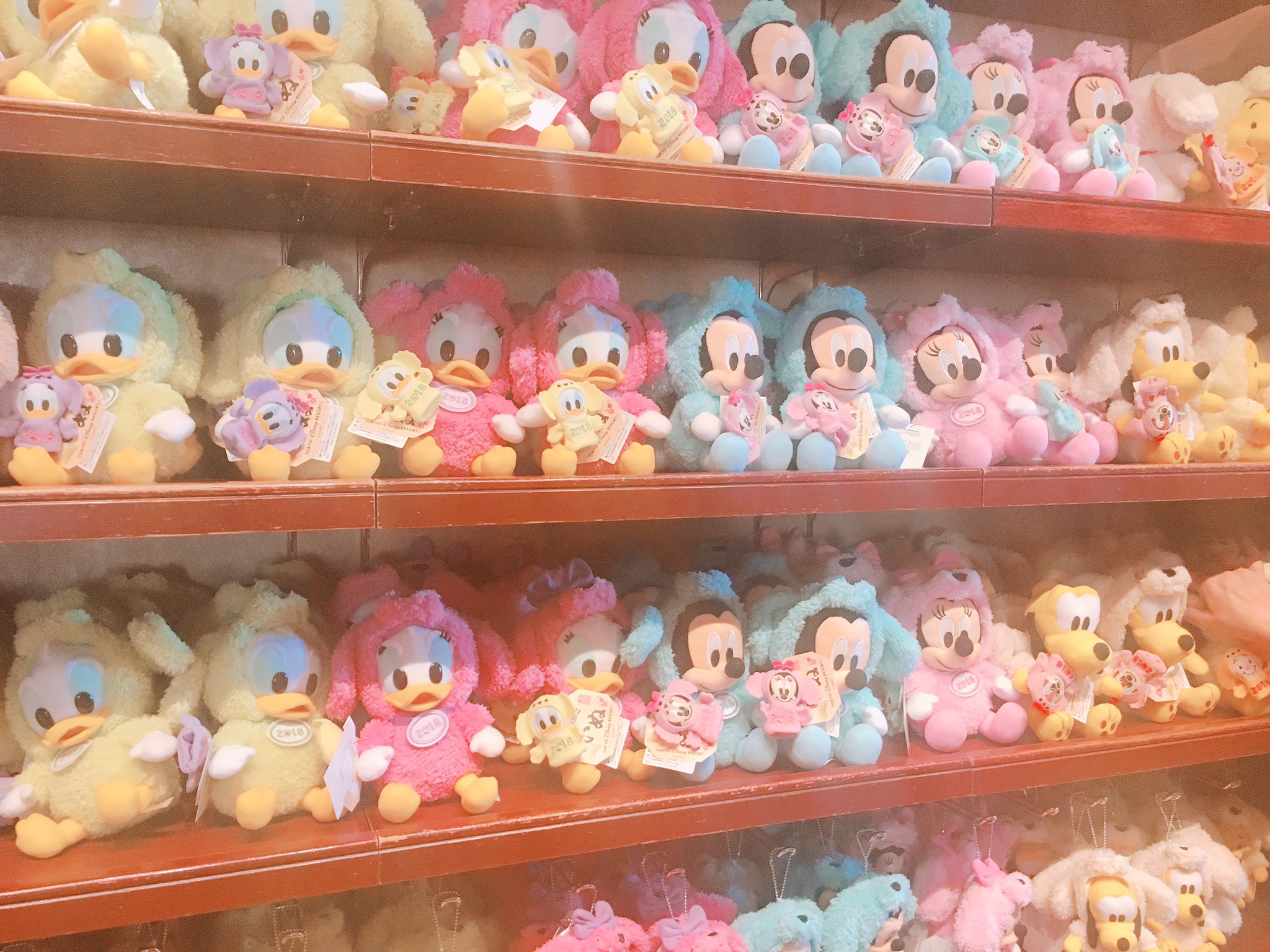 ディズニーお正月 Twitter Search Twitter