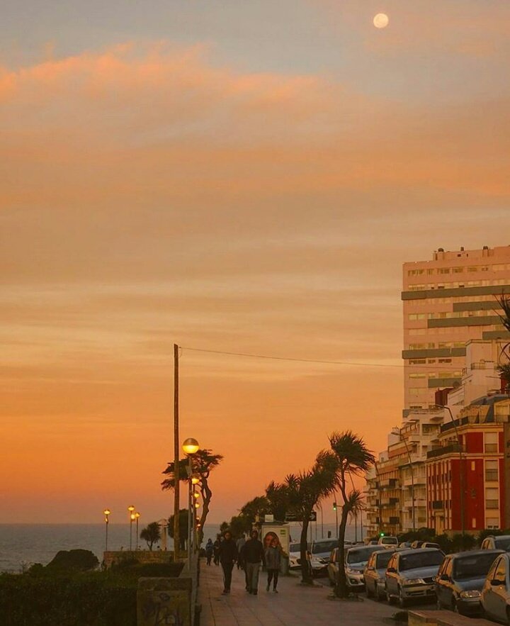 MarDelPlataARG's tweet photo. Cuando baja el sol, los colores son mas bellos y la ciudad se torna magica
#MarDelPlata #LaFeliz #MDQ #MDP #ARG #Argentina 
(📷 @ agustinacerica) https://t.co/6FJEzNh5qj