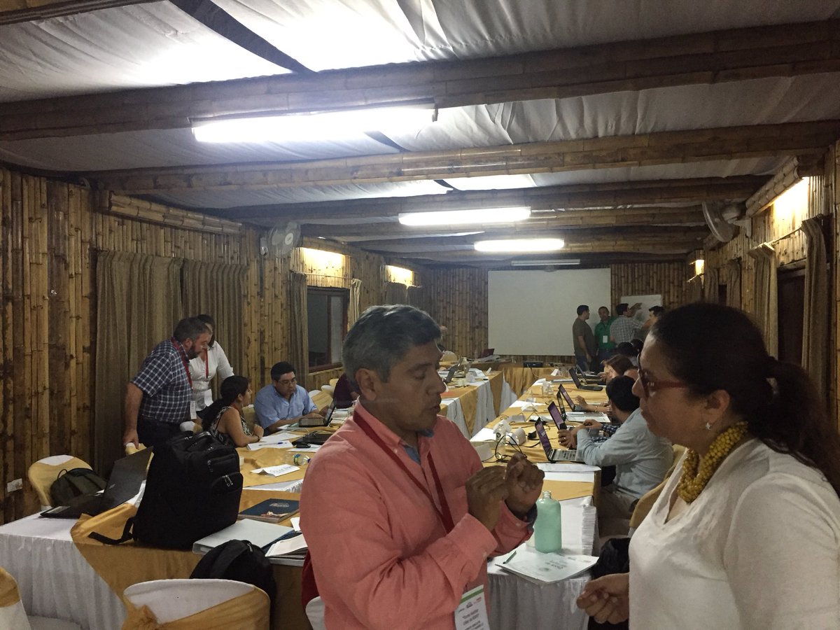 FEDAPAL's tweet image. Culminando cuarta jornada en el curso #AuditorLider #RSPO con trabajo de grupos @FEDAPAL @aexpalmaec @proforest @RSPOtweets @AgriculturaEc @ANCUPAEC