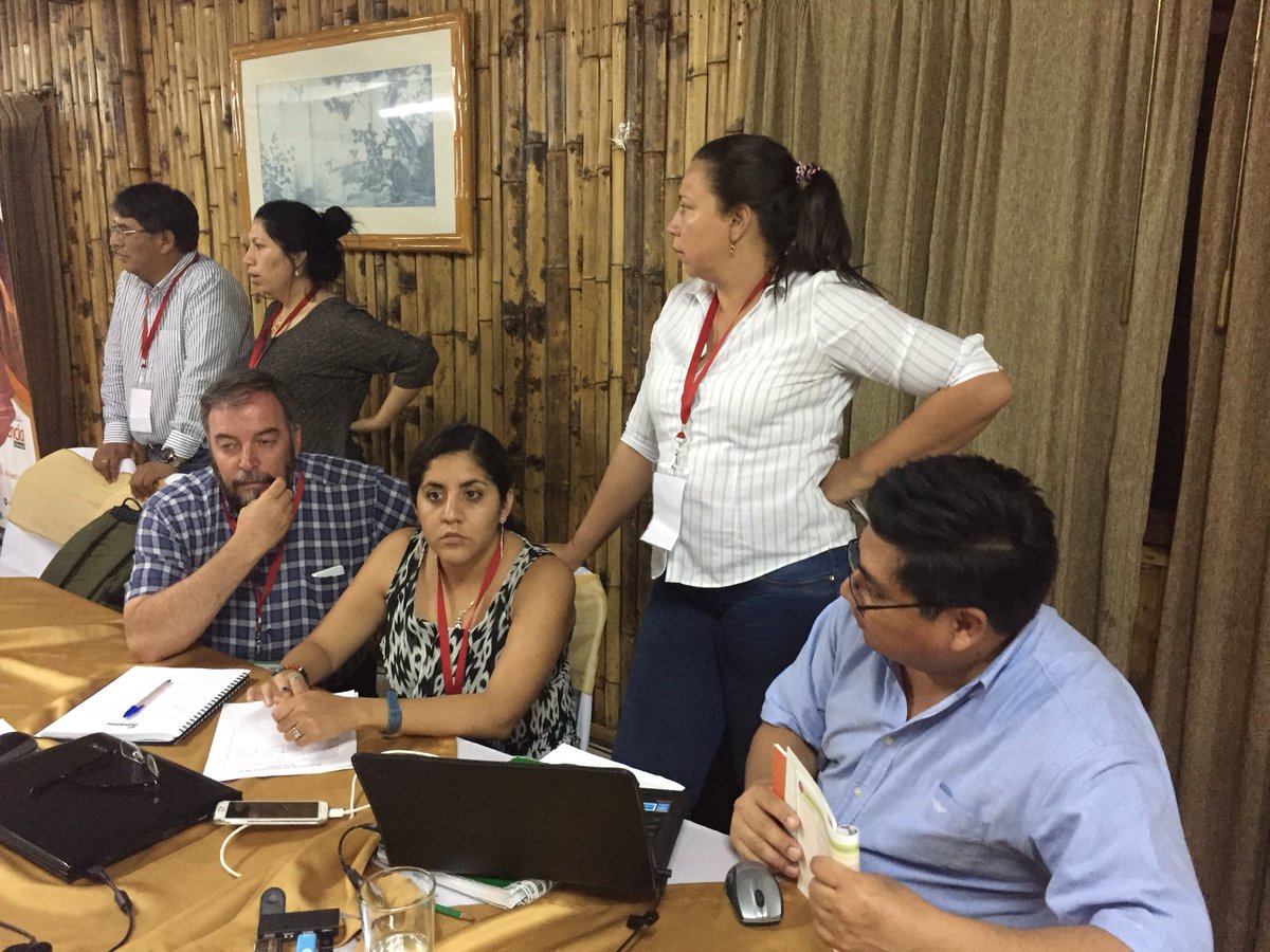 FEDAPAL's tweet image. Culminando cuarta jornada en el curso #AuditorLider #RSPO con trabajo de grupos @FEDAPAL @aexpalmaec @proforest @RSPOtweets @AgriculturaEc @ANCUPAEC