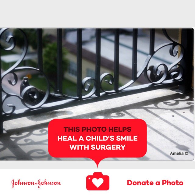 AmeliaPhotoAme's tweet image. #Bird’s #Eyeview - #jnj @donateaphoto #UntilWeHeal bit.ly/2zLGh0L