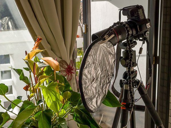 tuxoche's tweet photo. Fokusstacking mit DSLRController
#tuxoche #dslrcontroller
https://t.co/MIqcXwL9fL https://t.co/Qetn66mZQd