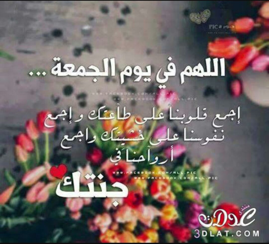 💕اللهم ياخير معبود.💕.
ويامن يسجد له كل ما في الوجود..🌹
نسألك أن لا تكْسـرْ لنـَـا قلبًا..♡
ولا تصعب علينا أمرًا..♡
واحفظْ لنا أحبابنَا..♡
ومنْ يريدُ بنا خيرًا..♡
اللّهمَّ إجعلنا ممن تفائل بخيرك 
فأكرمته ♡
وتوكل عليك  فكَفيته..♡
آمين يا رب العالمين..

💕💕صباح الخير💕💕