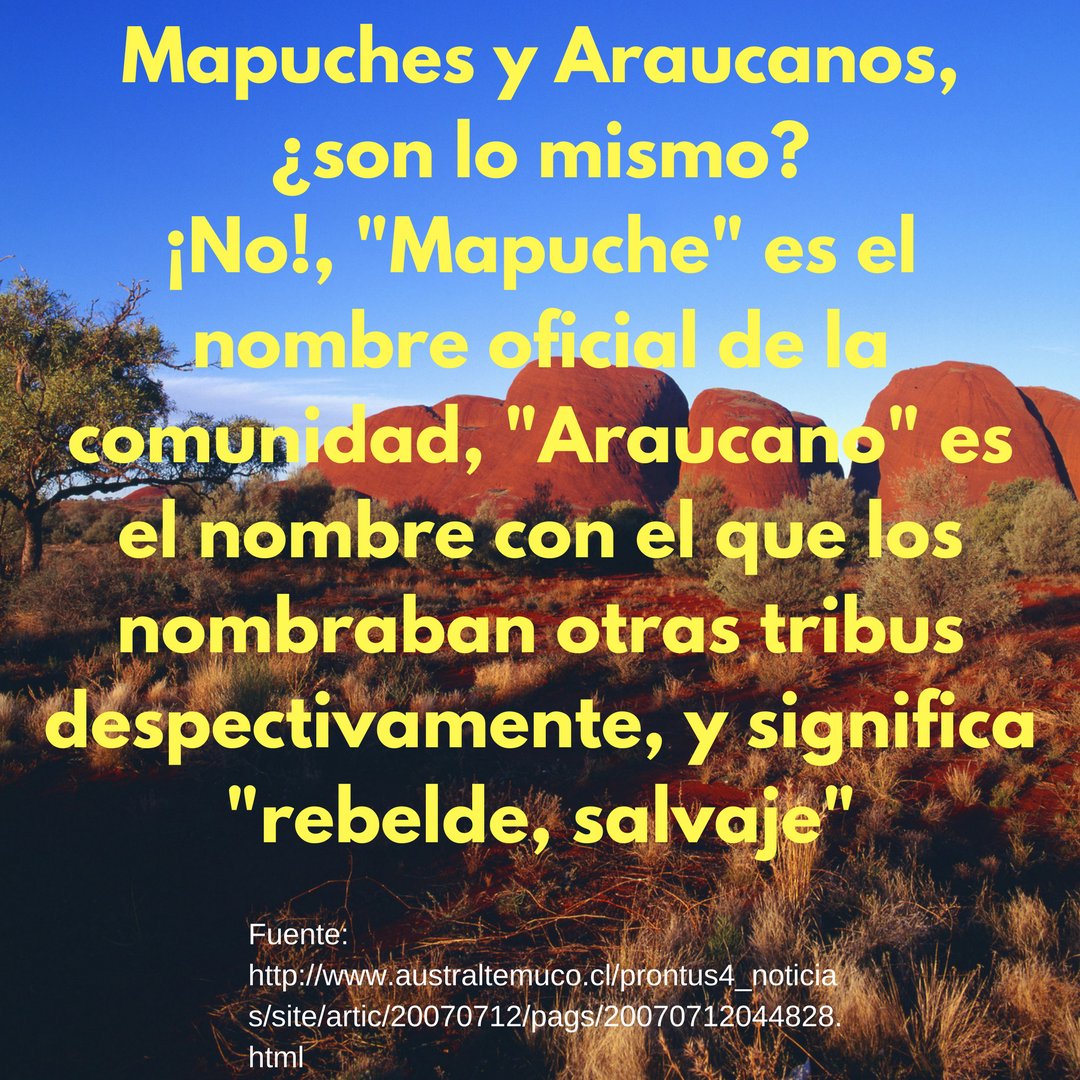 Mapuches y Araucanos, ¿Son sinónimos? 🤔🚫