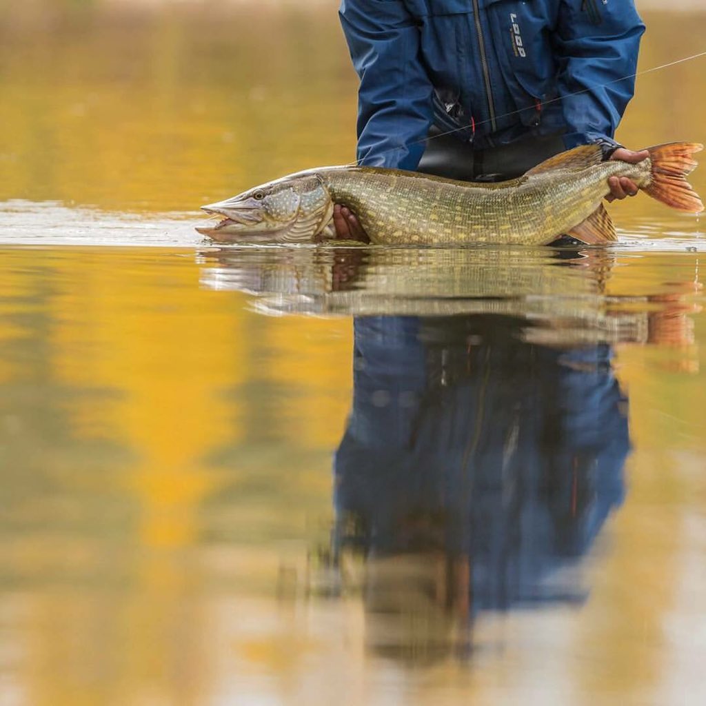 thefishinglife's tweet image. #autumnreflections