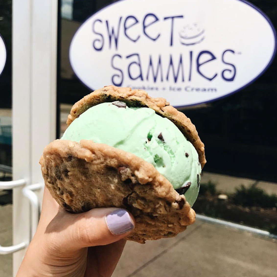 LocalSugar tweet media