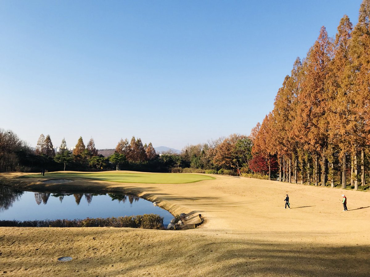 동생들과  자유CC