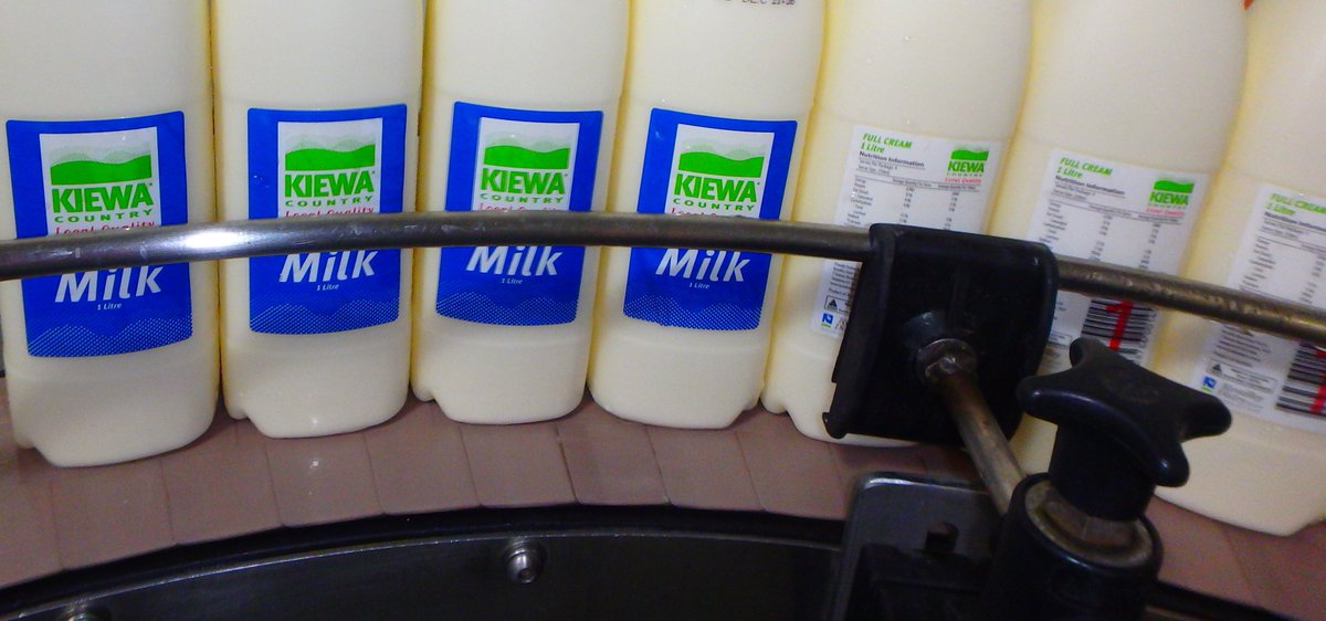 kyvalleydairy's tweet photo. The iconic Kiewa Country is back in selected fridges from Mon 20 Nov 2017, great to see it on the line! Rolling out to even more fridges during the week #kiewacountry #milk #familybusiness #agribusiness #kyvalley #australiasfreshmilkfamily https://t.co/vYSMvYx7Pb