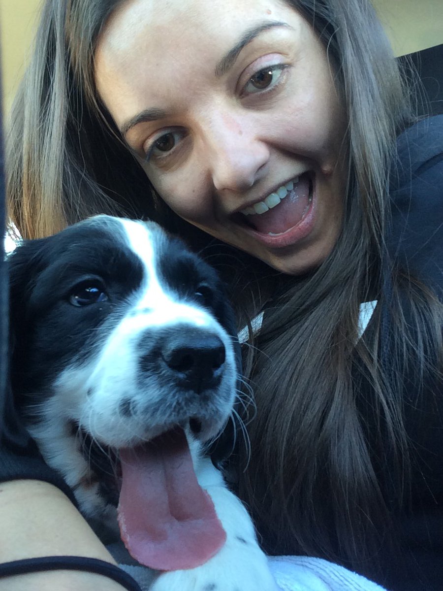 Cayla_Bri3's tweet photo. Umm my sister got a puppy yesterday and the last 24 hours went by like 4 hours. Charlie is awesome and life is good!#imanauntie #nephew #englishspringerspaniel https://t.co/ANZu3tedck