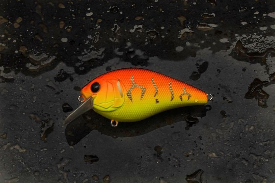 6thSenseLureCo's tweet photo. Anyone ready for the Crush 100?

Big Baits = Big Fish https://t.co/yOIEFPsYdq