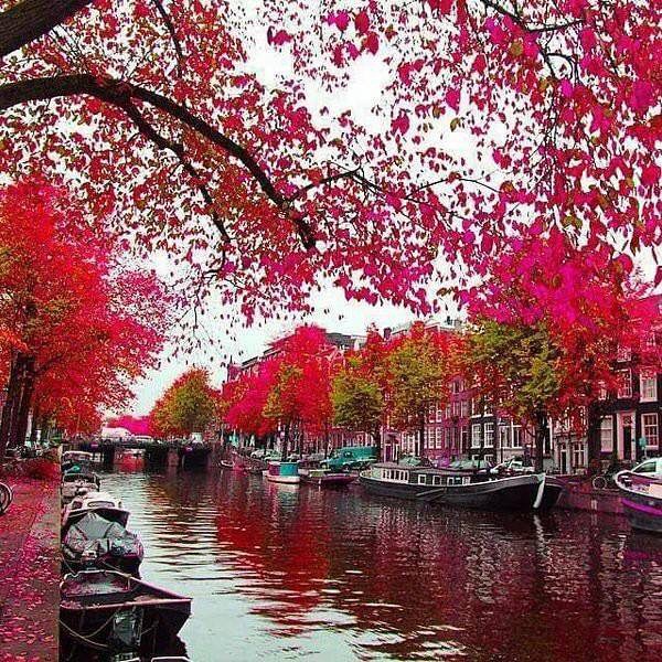 Nvr2Lte2Lve's tweet photo. Bruge, Belgium https://t.co/XB3f6Fdv3z