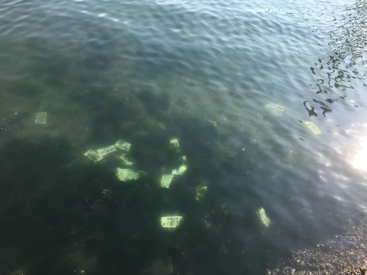 海の底に車のナンバープレートが！これはまずいやつではないでしょうか？