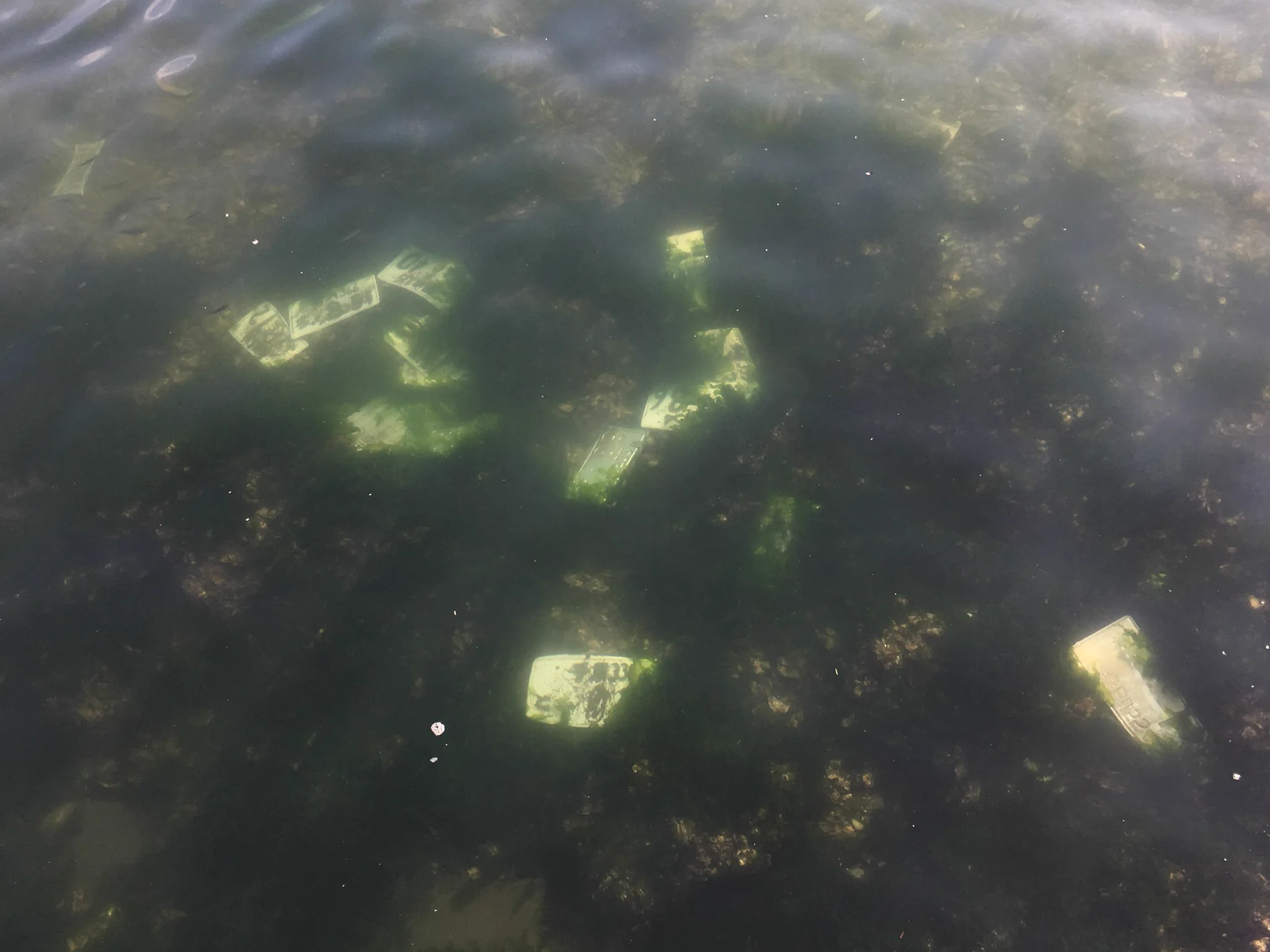 海の底に車のナンバープレートが！これはまずいやつではないでしょうか？