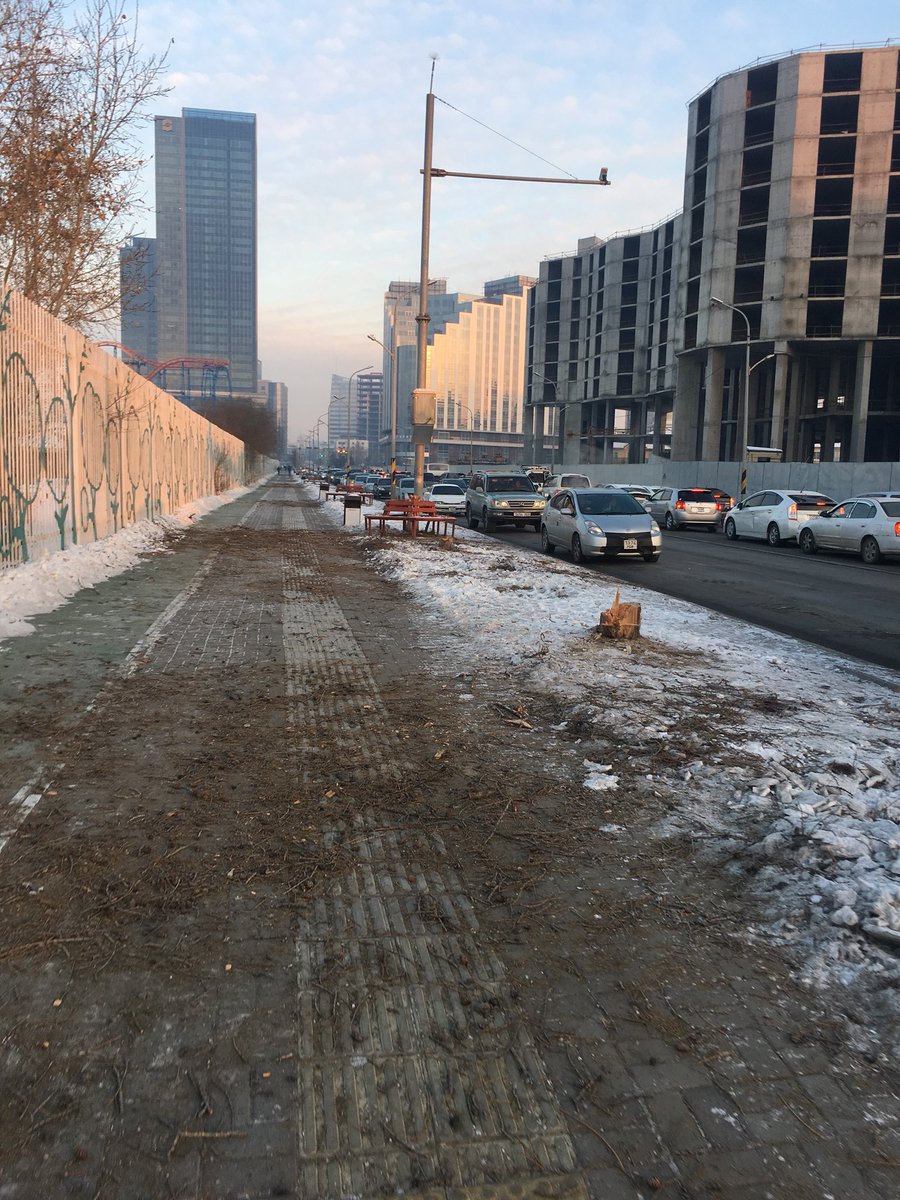 Олимпийн гудамжны бүх модыг урд шөнө тайраад аваад явчихаж. Энэ хот чинь яачихсан юм бэ? #террор