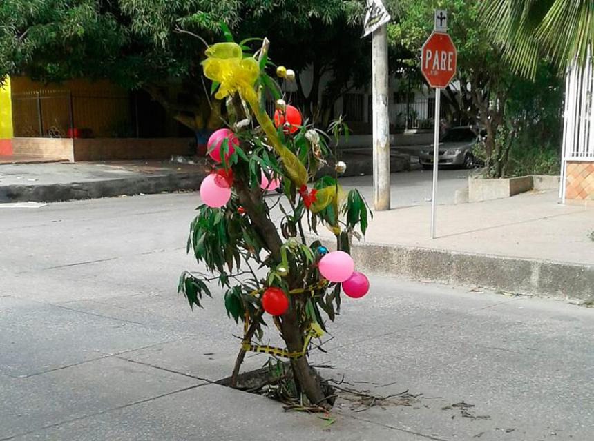 elheraldoco's tweet image. Con un árbol navideño, los vecinos de San José advierten sobre daños en el pavimento bit.ly/2mz5RRy