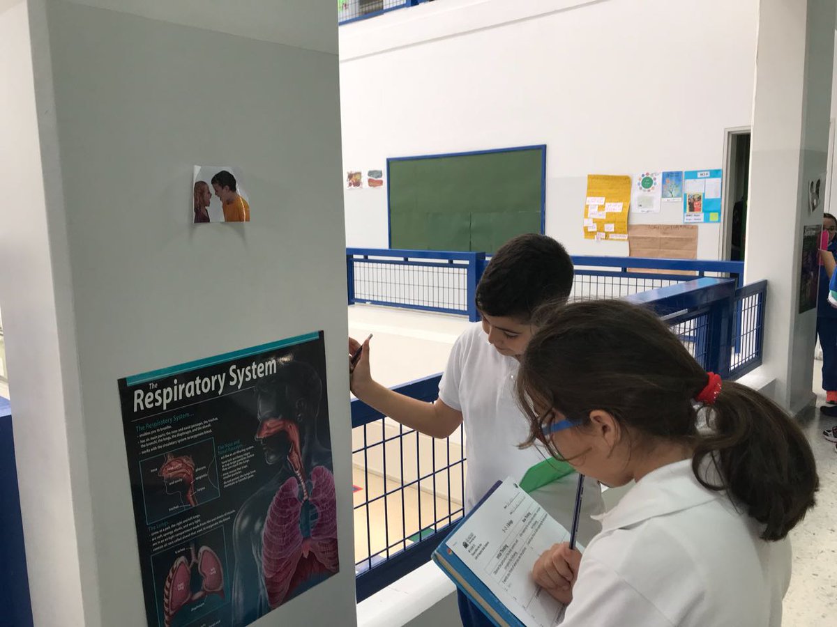 RHHS_Elementary's tweet photo. BE3C learners viewing posters about different body systems and thinking of words, questions, and connections #finding_out #3_2_1_Bridge #body_systems https://t.co/h3oVUdPpER