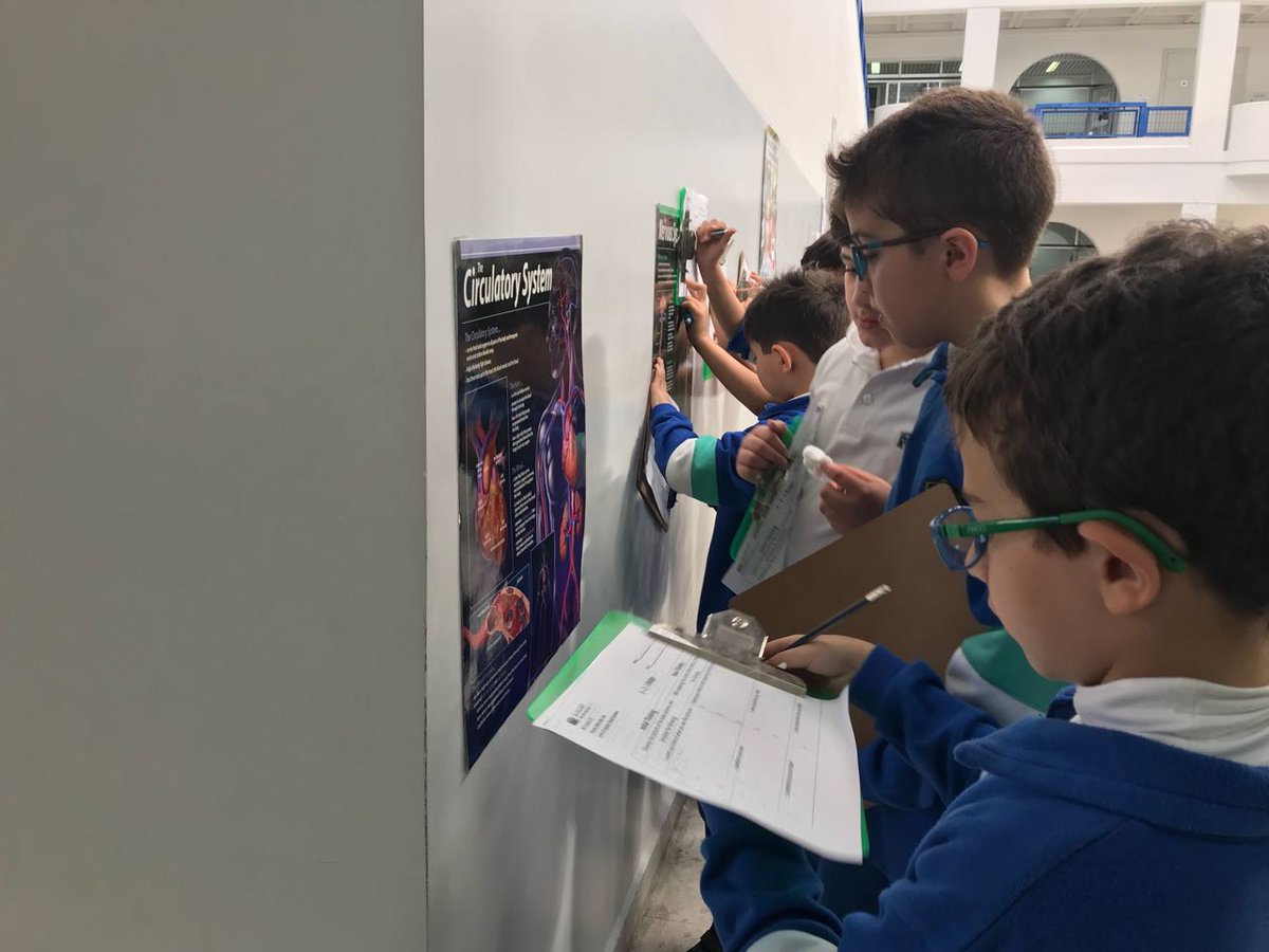RHHS_Elementary's tweet photo. BE3C learners viewing posters about different body systems and thinking of words, questions, and connections #finding_out #3_2_1_Bridge #body_systems https://t.co/h3oVUdPpER