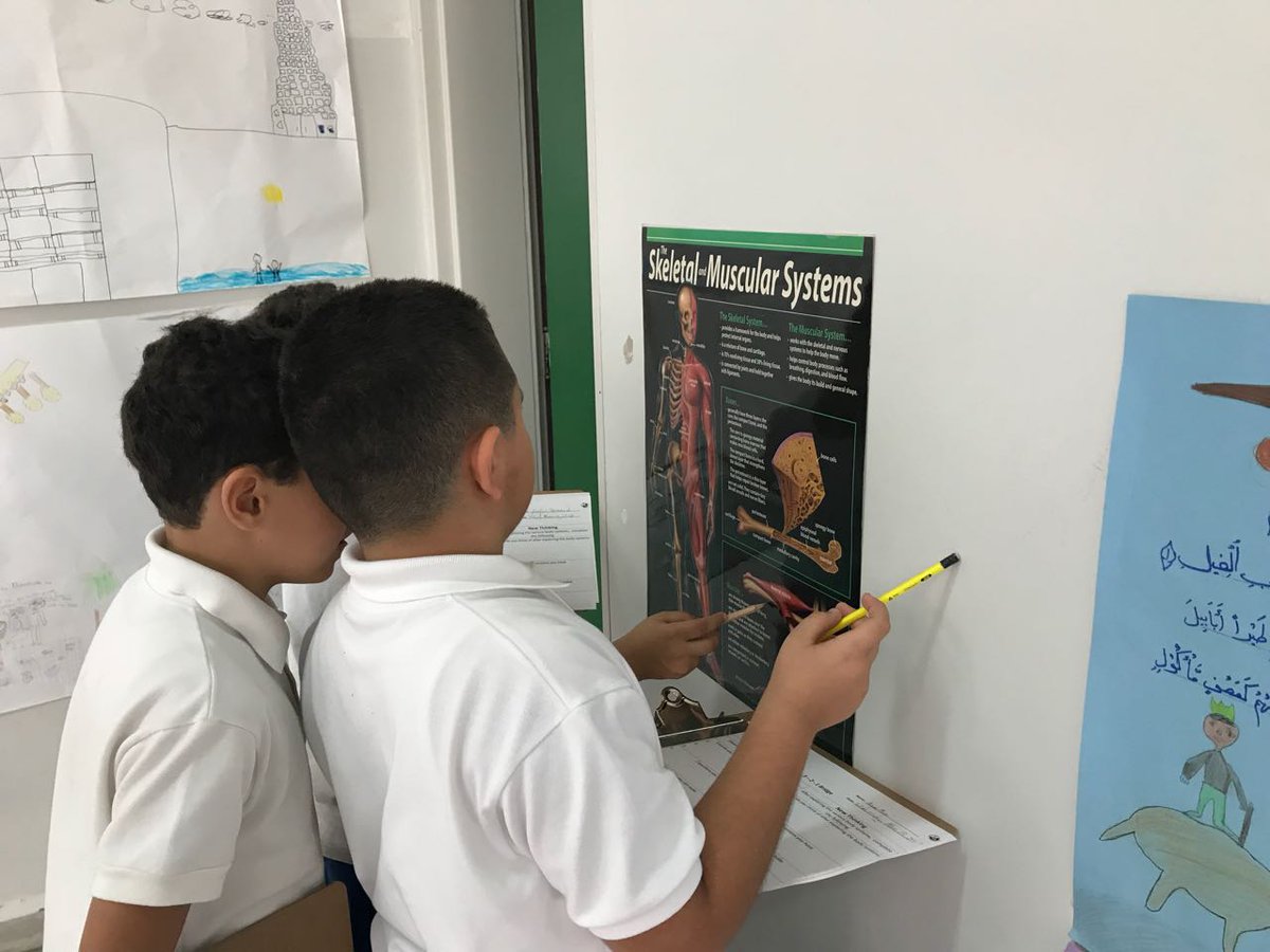 RHHS_Elementary's tweet photo. BE3C learners viewing posters about different body systems and thinking of words, questions, and connections #finding_out #3_2_1_Bridge #body_systems https://t.co/h3oVUdPpER