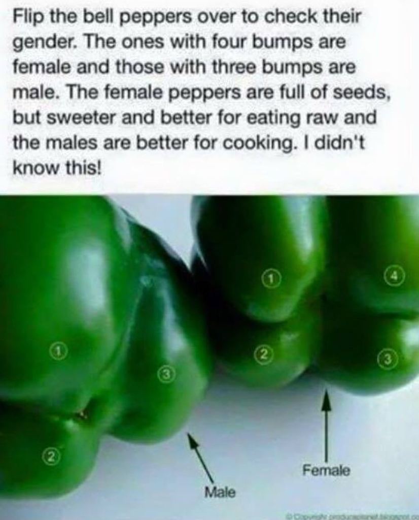 attraction_lab's tweet image. It’s important to know things. It makes life easier. That’s why we wrote Simple Science for Men. #themoreyouknow