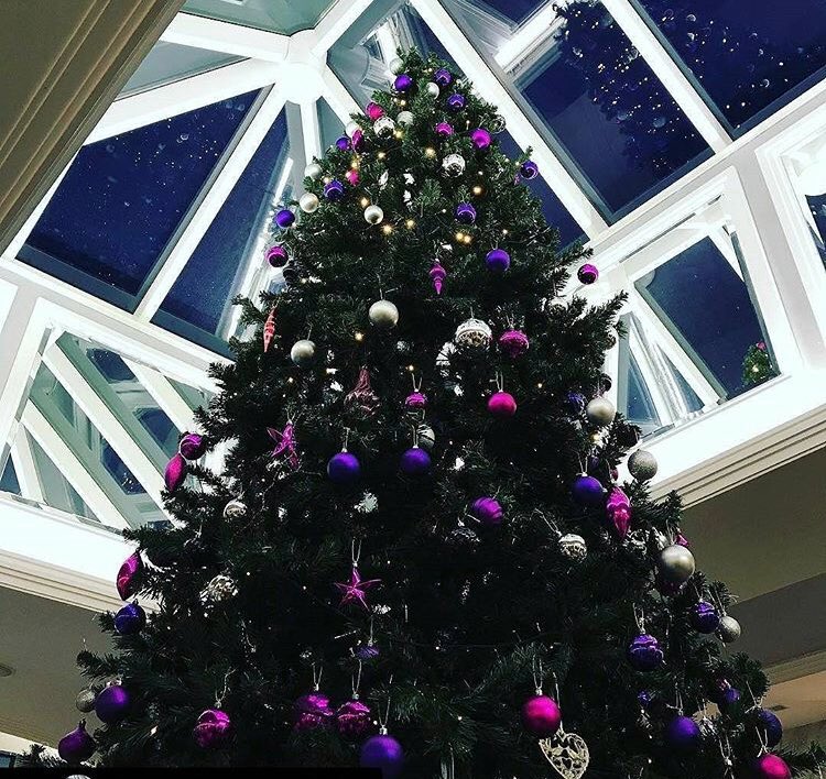 Everglades Hotel tweet media