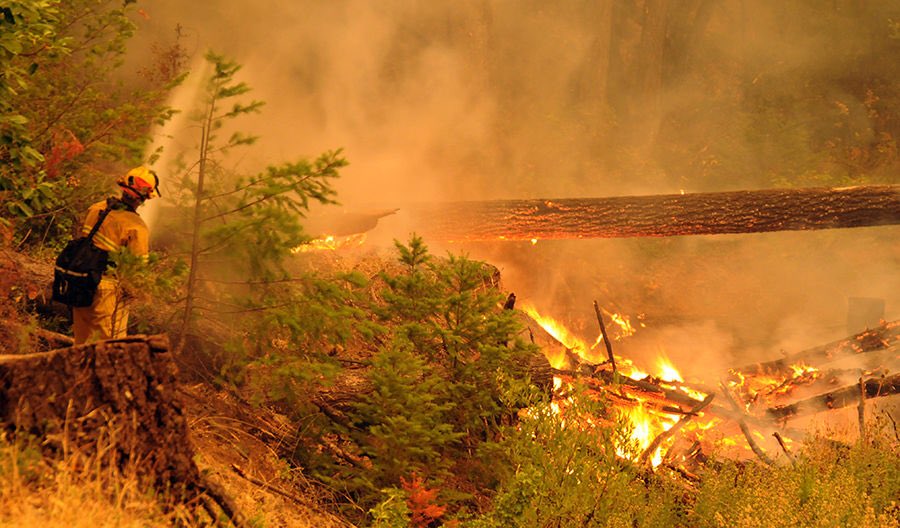 ilike_mike's tweet image. Grateful to the members of the #TrinityCounty Fire Relief Fund Committee. An additional $80k will be moving for students, families and seniors who lost their homes to the #HelenaFire in the coming few weeks. Big thanks to the Humboldt Area Foundation for managing the funds!