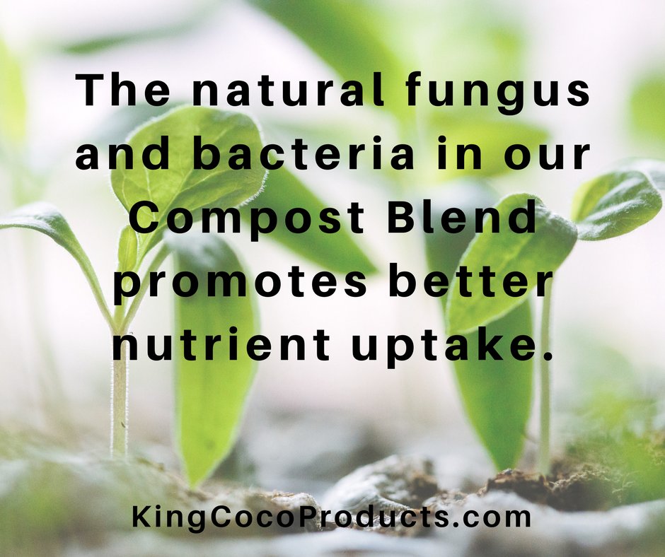JPBgrown's tweet photo. #organic is better... Get a free sample to see the difference two weeks can make! #kingcoco #cocogrow #grower https://t.co/5skPh4Dg3q