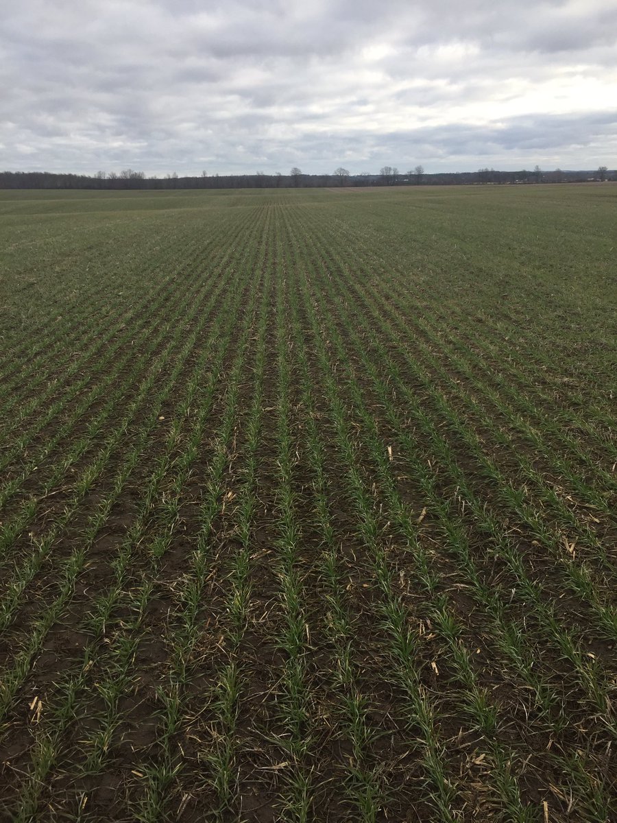 jonathan_kabbes's tweet photo. Winter wheat tour https://t.co/NcDU4PuBt9
