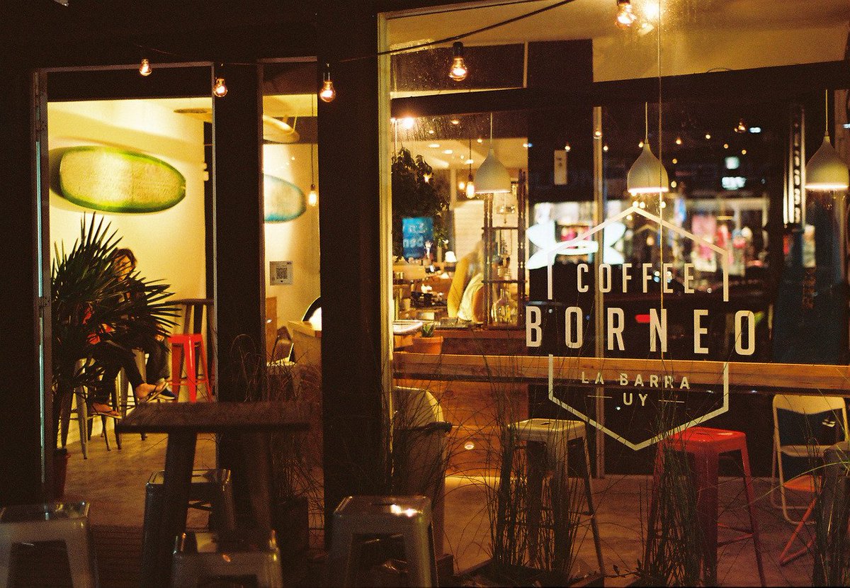 sprudge's tweet photo. An Argentinian surfer moves to the "Monaco of South America" in Urugay, and brings with him a taste for specialty coffee. #borneocoffee https://t.co/p5BWUDDcfS https://t.co/wAkJo6vpps