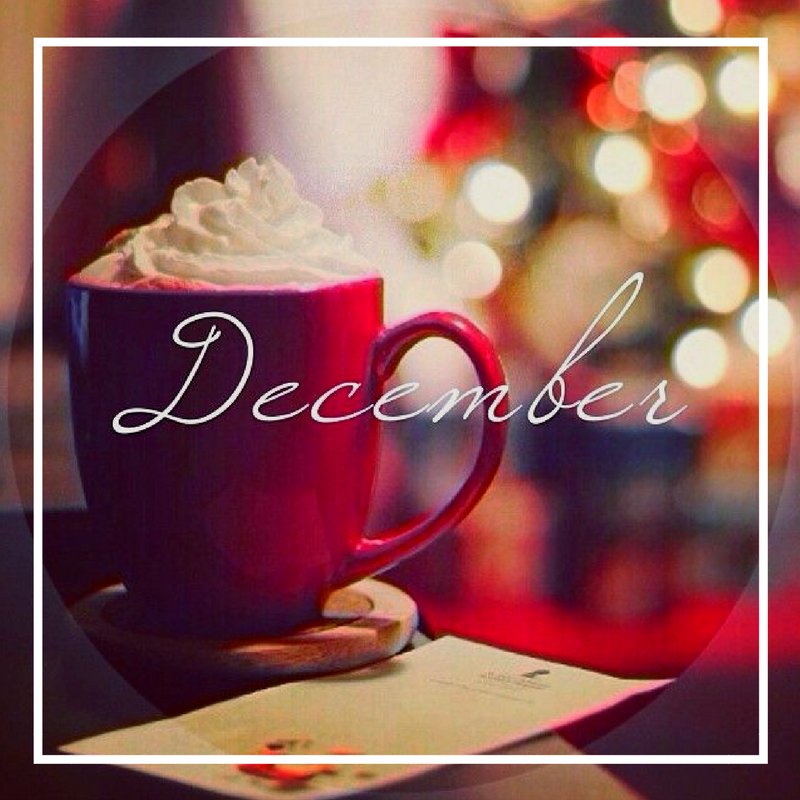 tryphotelnyc's tweet photo. #TRYPSTER Happy December!!! https://t.co/1ucDnC1Uy2