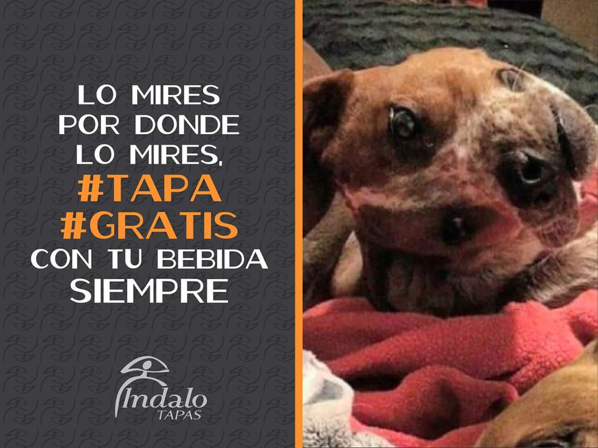 IndaloChueca's tweet photo. Llevamos un buen rato intentando descifrar esta imagen que ya se ha hecho viral... Pero si lo que quieres es verlo claro, en Indalo Tapas no podemos ponerlo más fácil: una #tapa #gratis con cada bebida 😜 https://t.co/hVv4F0pOQd