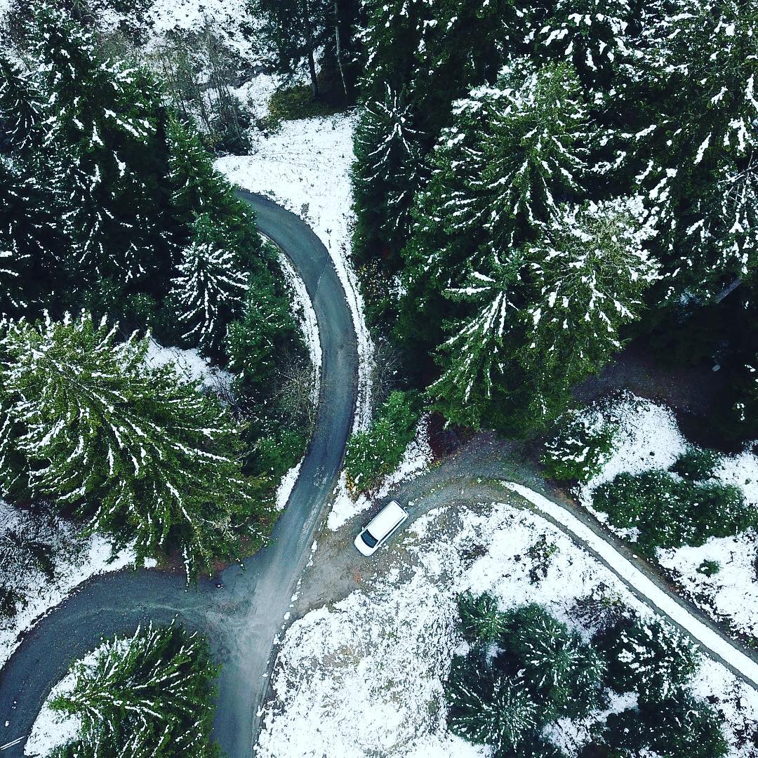 A vos marques, prêts ? La recherche du sapin de Noël idéal peut commencer ! Et avec votre camionnette Mercedes-Benz, le ramener à la maison sera un jeu d’enfant. À condition qu’il ne fasse pas 20 mètres de haut, bien sûr.