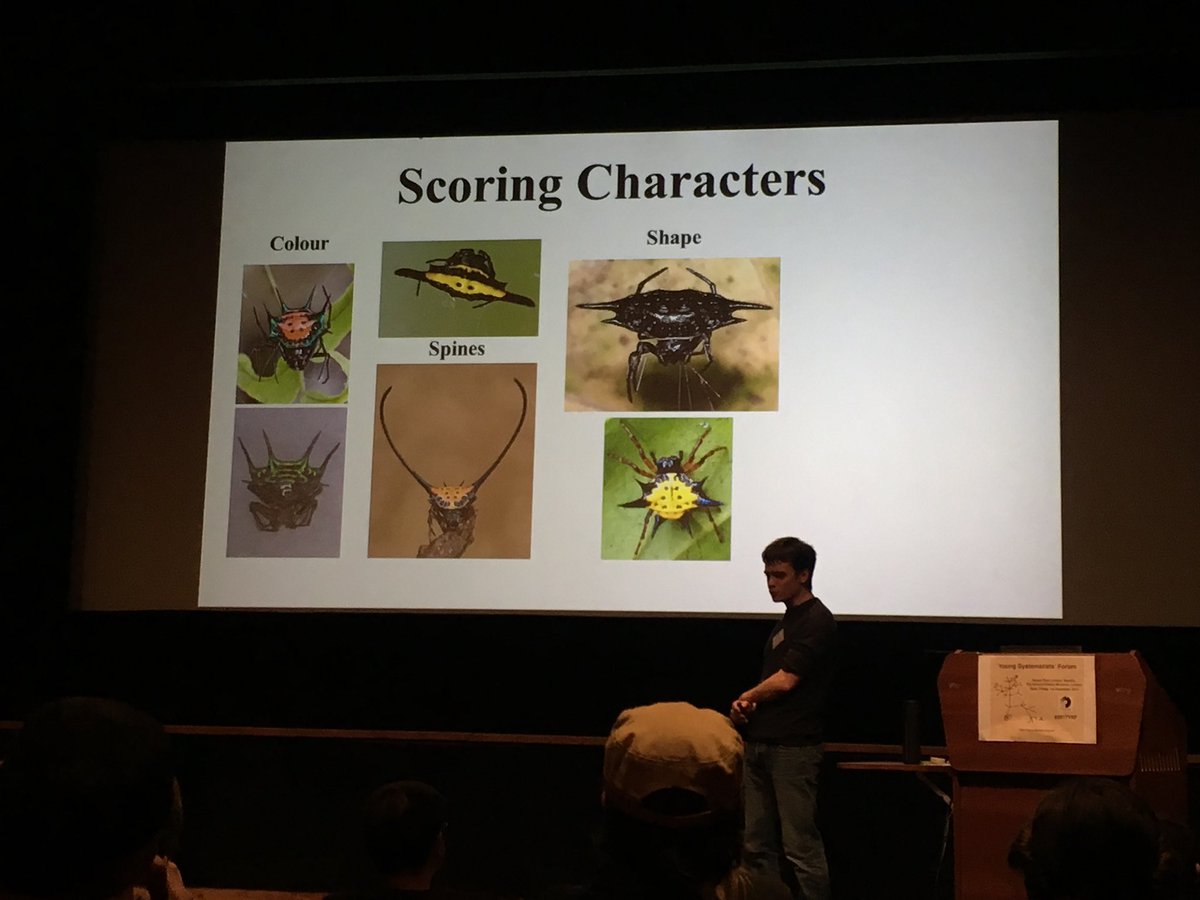 Hairy_Llama's tweet photo. V. interesting talk on the Spiny Orb-weaver Spiders by Steven Williams @ #2017YSF. @DrRossPiper I think you would have enjoyed this talk https://t.co/REF3aPn38C